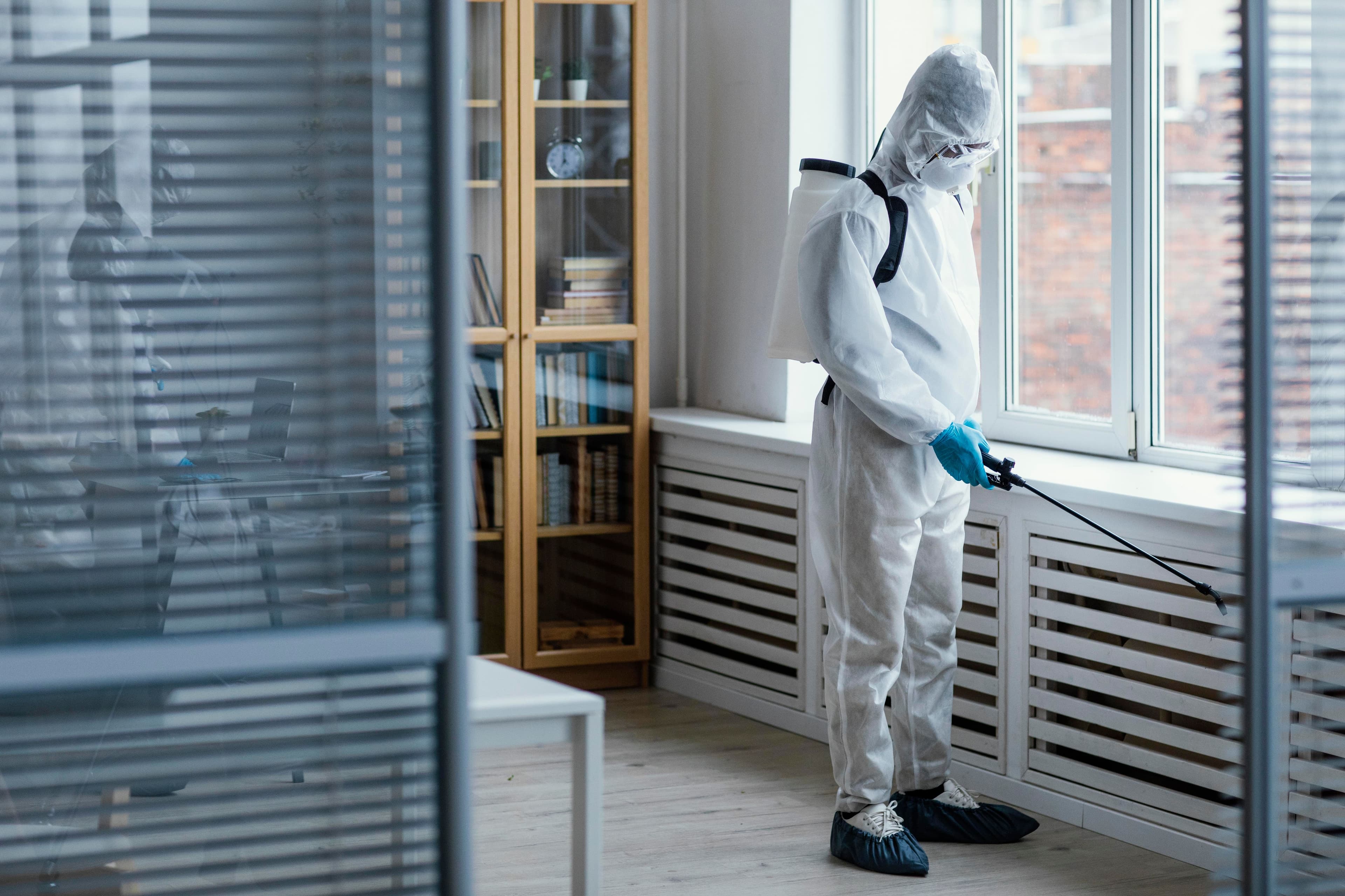 Élimination des parasites d'intérieurs